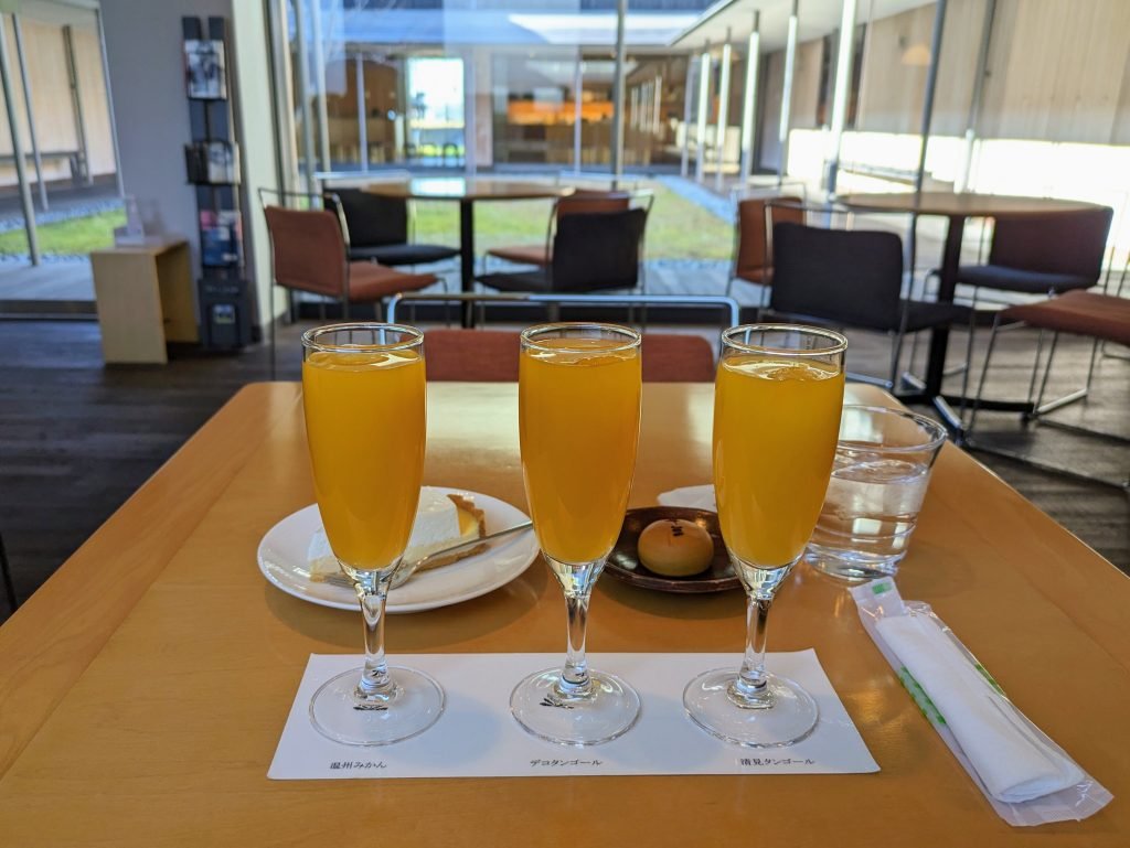 🏛️ 이타미 주조 기념관 이미지 5